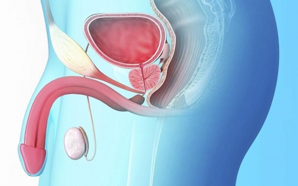 PHI e PCA3, Nuovi marcatori nella diagnosi di carcinoma alla prostata