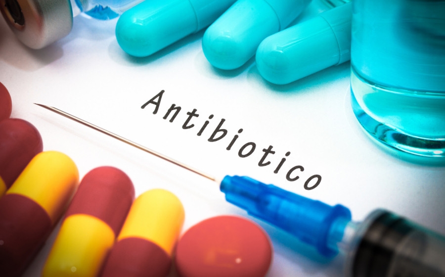 Come Usare Gli Antibiotici In Modo Efficace E Importanza Dell'Antibiogramma