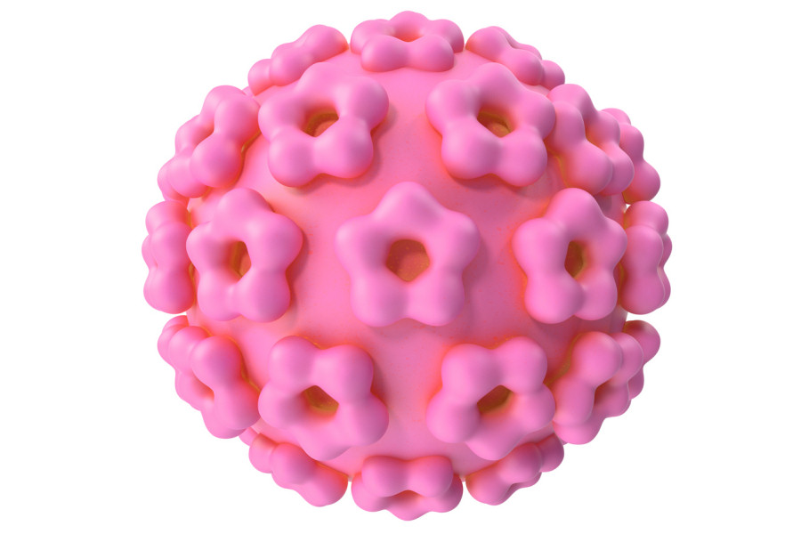 HPV Papilloma virus DNA Tipizzazione